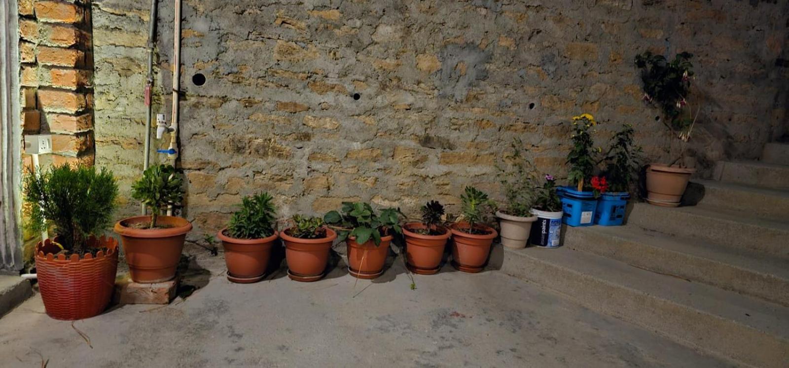 Golden Himalaya Homestay Каусани Екстериор снимка